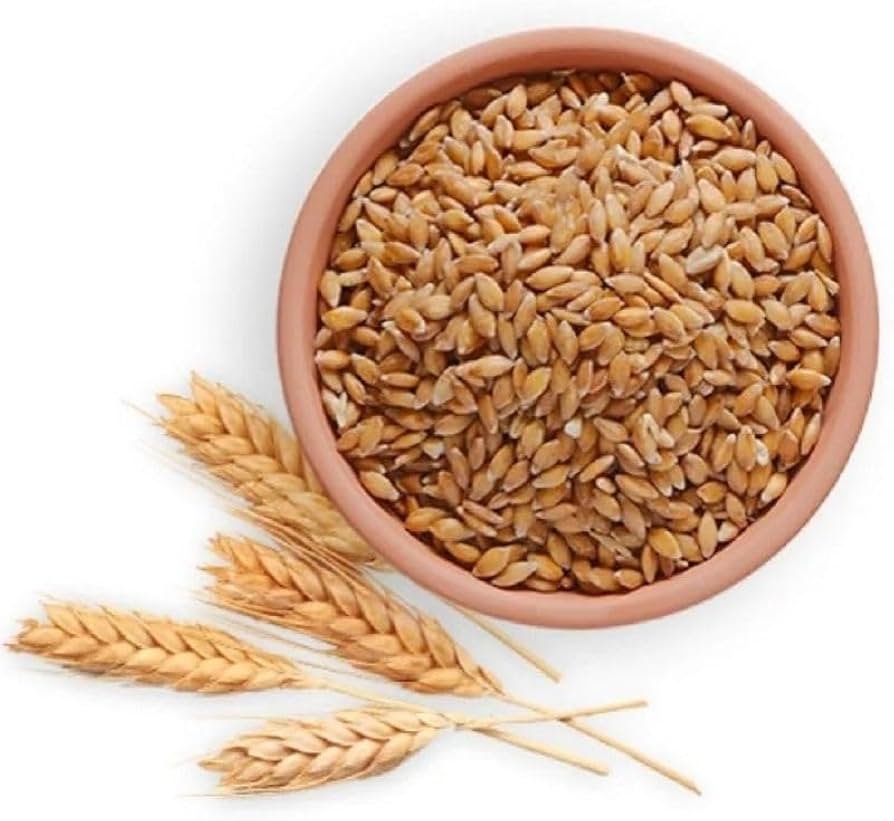 Natural Wheat Grain